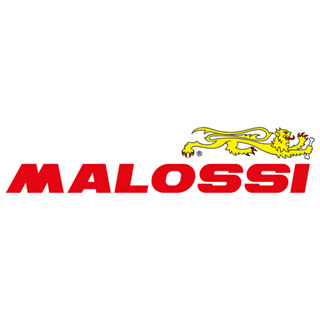 Malossi